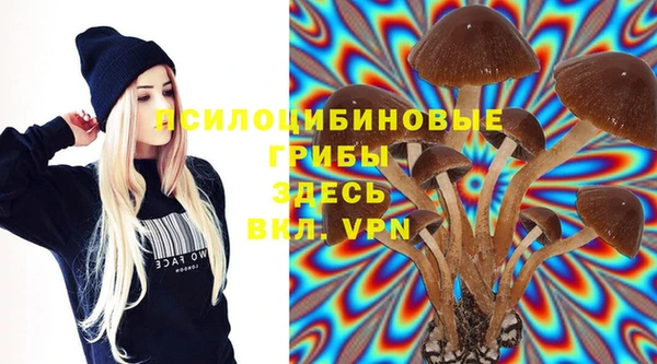 mdma Дмитровск